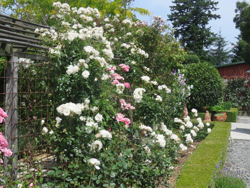 Bed and Breakfast Marchmont Gardens Ханмер-Спрингс Экстерьер фото